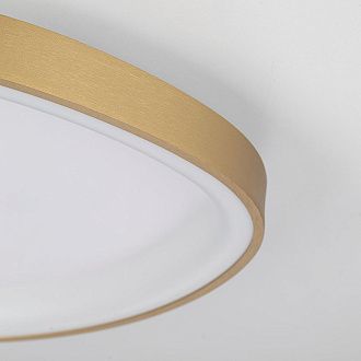 Светильник 46 см, 55W, 3000-5500K, Citilux GENKA SMART CL756A142, золото