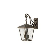 Настенный фонарь Hinkely Lighting, Арт. HK-TRELLIS2-L