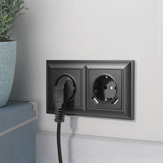 W1171508 Розетка с заземлением, шторками и USBх2, черный матовый Werkel, 4690389156915