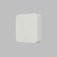 Конвертер WiFi-Zigbee/BLE для умного дома Denkirs Zigbee Control DK7402-WF