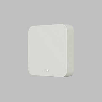 Конвертер WiFi-Zigbee/BLE для умного дома Denkirs Zigbee Control DK7402-WF
