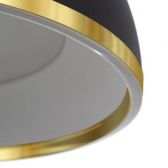 Светильник 50 см, 45W, 3000-6000K, Citilux FLOOM CL736251, черный-золото