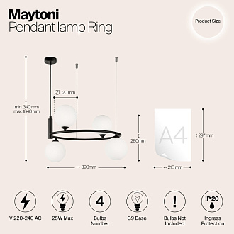 Подвесная люстра Maytoni Ring MOD013PL-04B, черный