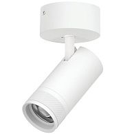 Светильник накладной c адаптером *8*17,6 см, *30W, 2700-4200-6000K, Lightstar Canno Pro C4306SO, Белый