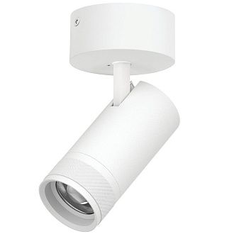 Светильник накладной c адаптером *8*17,6 см, *30W, 2700-4200-6000K, Lightstar Canno Pro C4306SO, Белый