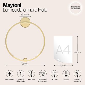 Бра 60 см, 36W, 4000K, Maytoni MOD005WL-L22BSK1, латунь