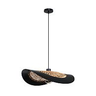 Подвесной светильник 55 см, Arte Lamp Woodstock A7059SP-1BK, черный