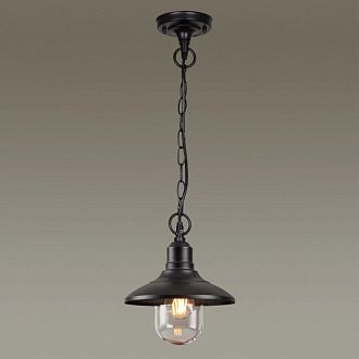 Уличный подвесной светильник Odeon Light Campa 4965/1, черный