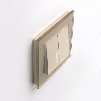 W0011111 Рамка на 1 пост Favorit, шампань,стекло Werkel, 4690389159497