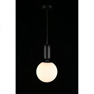 Подвесной светильник 20*50-150 см, 1*E27, 40W, Aployt Aniela APL.612.06.01, черный