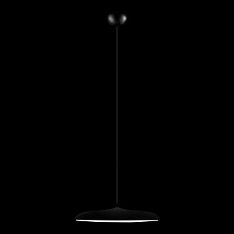 Подвесной светильник *40*11 см, 1*LED*24W, 3000K, Loft It Plato 10119 Black, Черный