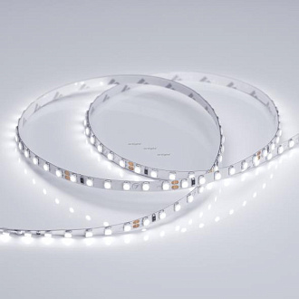 Светодиодная лента RT 2-5000 24V White6000 5mm 2x (3528, 600 LED, LUX) (Arlight, 9.6 Вт/м, IP20) 015651(B), цена за метр, катушкой по 5 м