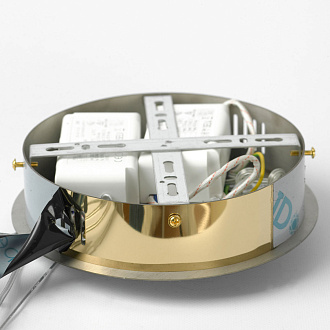 Люстра подвесная 80*150 см, 2*LED*22W 4000K блестящее золото Lussole Citrus LSP-7158