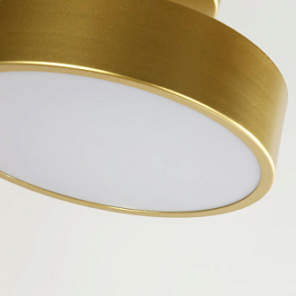 Потолочный светильник F-Promo Atma 3059-2P, D200*H125, накладной светильник, золота, рассеиватель из белого акрила, угол поворота до 45°