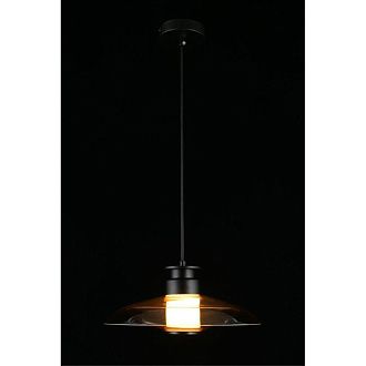 Подвесной светильник 30*40-200 см, 1*LED, 10W, 3000K, Aployt Stefa APL.648.16.10, черный