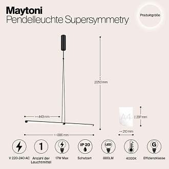 Подвесной светильник Supersymmetry P096PL-L11BK черный 
