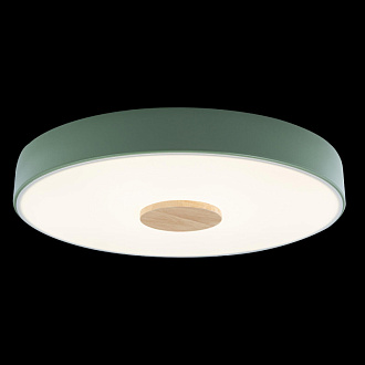 Светильник 40 см, 24W, 4000K, Loft IT Axel 10003/24 green, зеленый