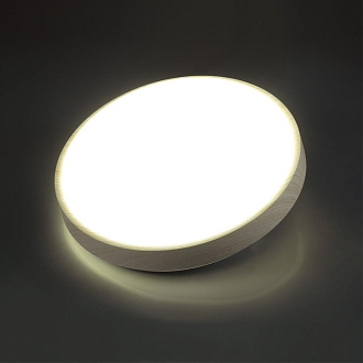 Cветильник 40*5 см, LED 48W, 3000-4200-6300 К, IP43, белый/беленый под дерево, пластик Sonex Losta, 7628/DL