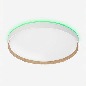 Светильник 40 см, 40W, 3000-5500K, Citilux ETALON CL750400R LED RGB, белый+бук