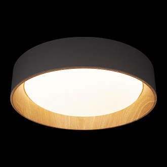 Потолочный светильник 45*10 см, 1*LED*36W 4000K серый, дерево LOFT IT Coin 10202 Grey