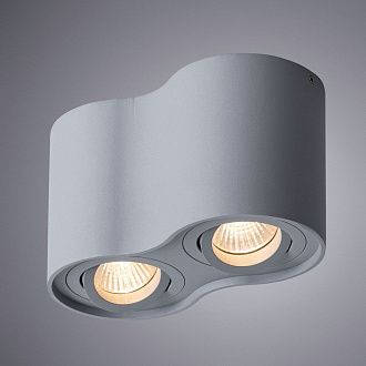 Потолочный светильник Arte Lamp Falcon A5645PL-2GY серый