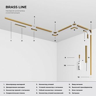 Brass Line Трековый светильник 10W 4000K латунь 85525/01 Elektrostandard Line Magnetic 4690389218729, a071846
