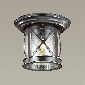 Уличный светильник Odeon Light Sation 4045/1C черный/золотая патина