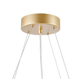 Подвесная люстра 70*40*135 см, 6*LED, 42W, 4000К, Favourite Asterismo 4448-6P золотой