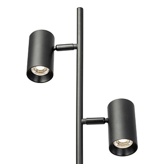 Торшер Citilux CL809011N Twin Черный 