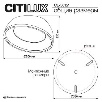 Светильник 50 см, 45W, 3000-6000K, Citilux FLOOM CL736151, черный-золото