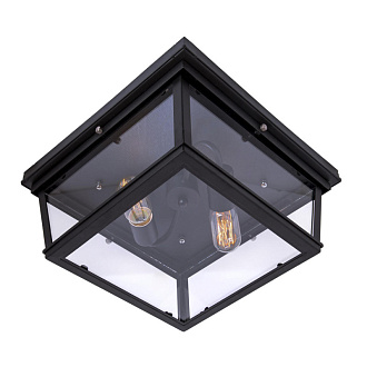 Потолочный светильник Loft IT Loft3110-2C, 36х36 см, черный