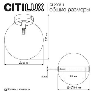 Светильник 20 см, Citilux ORTON CL202511, черный