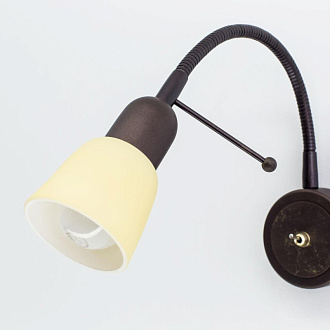 Спот Citilux CL506314
