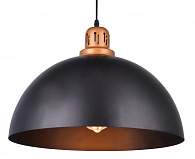 Подвесной светильник Arte Lamp Eurica A4249SP-1BK, диаметр 40 см, черный