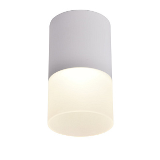 Светильник 6*6 см, LED 5W, 4000K Favourite Naram 3069-1C, D64*H110, Светильник, каркас белого матового цвета, рассеиватель из белого акрила