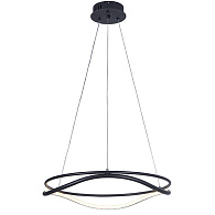 Подвесная люстра 50*120 см, LED, 45W, белый (регулируемый) Lightstar Rotonda 736517, черный