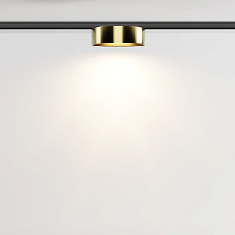 Трековый светильник 11,3*3,4 см, LED 12W 3000K Maytoni Technical Accessories for tracks Levity Zon TR189-1-12W3K-BBS черный и Латунь