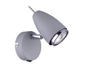 Спот с одной лампой Arte Lamp REGISTA A1966AP-1GY, серый