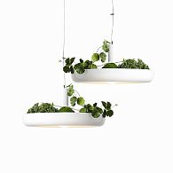 Подвесной светильник Inodesign Plant 40.404