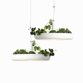 Подвесной светильник Inodesign Plant 40.404