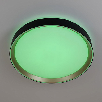 Светильник 40 см, 48W, 3000-5000K с пультом Citilux CL751351G BOSS Черный+Золото LED