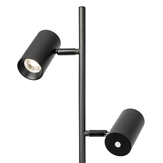 Торшер Citilux CL809011N Twin Черный 