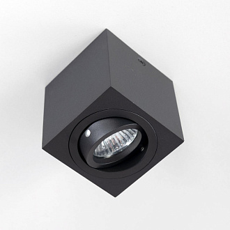 Светильник Черный Citilux Дюрен CL538213