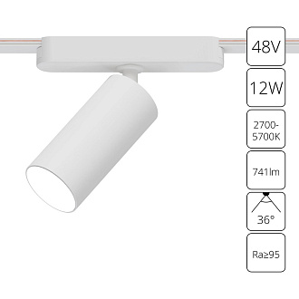 Трековый магнитный светильник 5 см, 12W, 2700-6500K, Arte Lamp Rapid A2958PL-1WH, белый