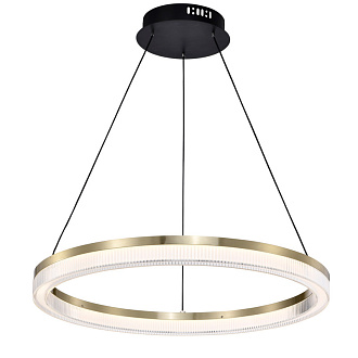Подвесной светильник 60*150 см, LED, 30W, 4000К, Favourite Cirkler 4400-6P черный