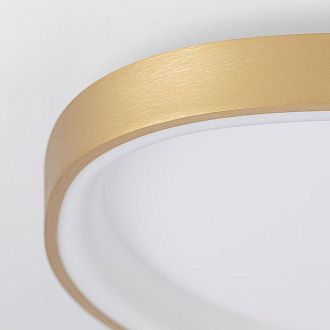 Светильник 46 см, 55W, 3000-5500K, Citilux GENKA SMART CL756A142, золото