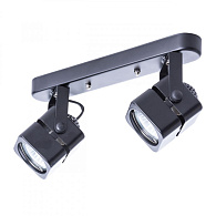 Светильник Arte Lamp MISAM A1315PL-2BK черный