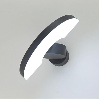 Светильник уличный Citilux CLU03W, черный