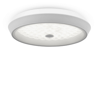 Потолочный светильник 39 см, 24W Freya Cells FR10012CL-L24W, 3000-6500K, белый
