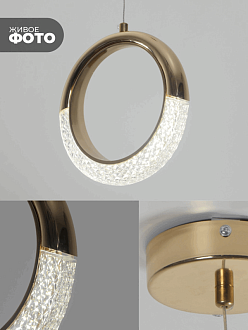 Светильник подвесной ElegantLight DZN-8224 ЗОЛОТО/ GOLD D200/H1500/1/LED/8W/4000K DELICATE 22-12 (1)